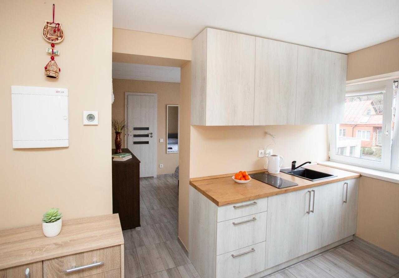 Chill&Go Apartment Kowno Zewnętrze zdjęcie
